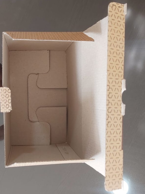 کارتن بسته بندی دیزی